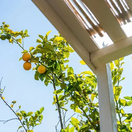 Monolocale Melograno * クアルトゥ・サンテーレナ