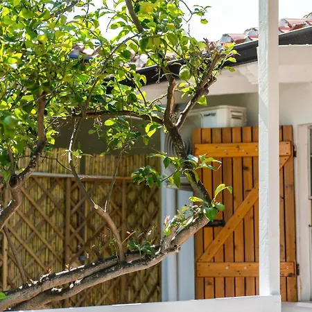 Monolocale Melograno *